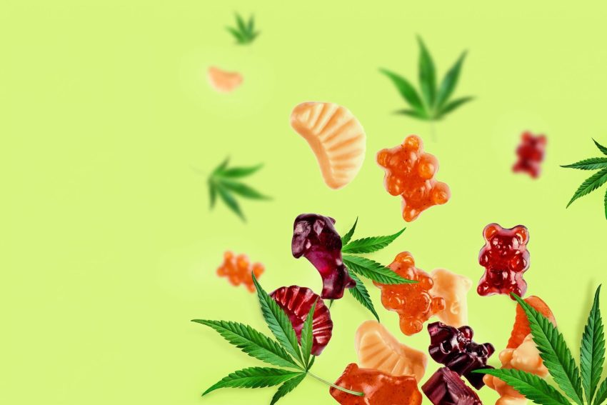 best delta 9 gummy cubes